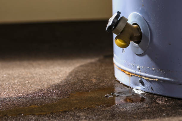 Best Sewage cleanup and water damage restoration  in Itasca, IL