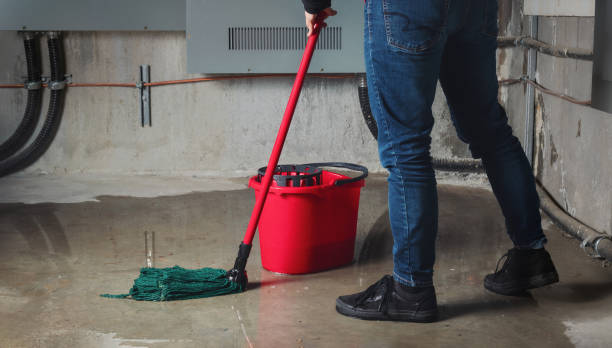 Best 24-hour water damage restoration  in Itasca, IL