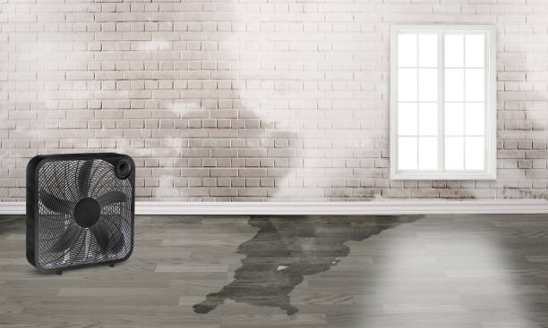 Best Professional water damage repair  in Itasca, IL