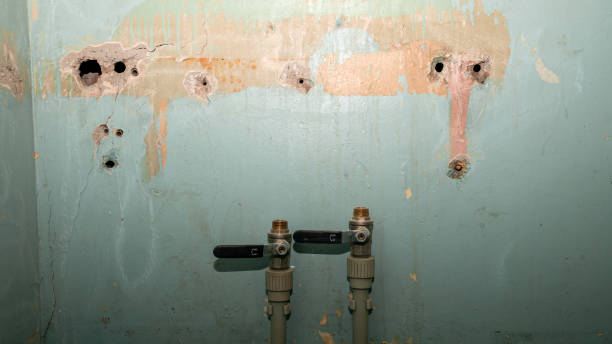 Best Basement water damage restoration  in Itasca, IL