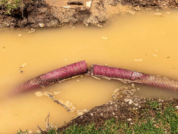 Best Local water damage restoration  in Itasca, IL